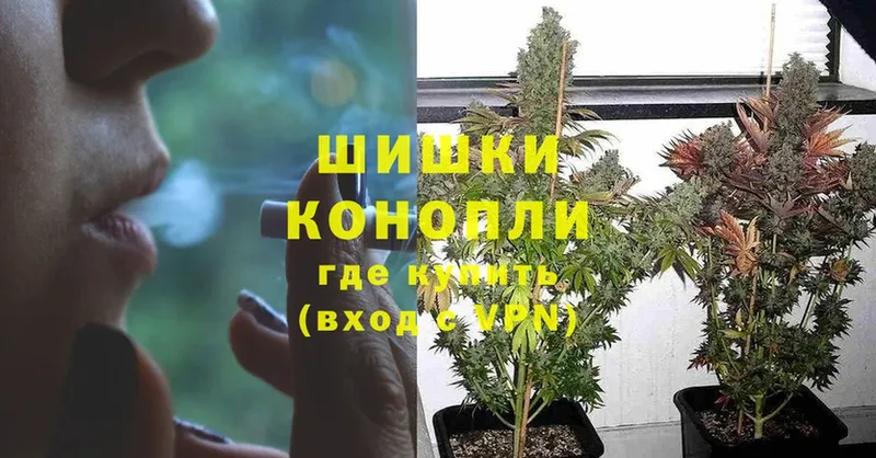 ссылка на мегу зеркало  Пучеж  Шишки марихуана SATIVA & INDICA 